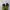 sepatu basket Skechers skx float green (cocok untuk outdoor) photo 5