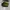 sepatu basket Skechers skx float green (cocok untuk outdoor) photo 1