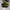 Sepatu Basket Skechers Skx Float Green (cocok Untuk Outdoor)