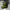 sepatu basket Skechers skx float green (cocok untuk outdoor) photo 2