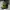 Sepatu Basket Skechers Skx Float Green (cocok Untuk Outdoor)