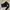 Shein one shoulder crop top photo 1