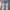 The North Face Sportswear Tracksuit Pria blue photo 2