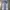 The North Face Sportswear Tracksuit Pria Blue