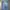 The North Face Sportswear Tracksuit Pria blue photo 7