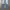 The North Face Sportswear Tracksuit Pria blue photo 3