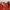 Shoulder bag Red WEBE photo 4