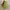 Shoulder bag stabilo WEBE photo 4