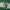 KAOS JERSEY CELTIC FOOTBALL CLUB photo 4