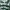 KAOS JERSEY CELTIC FOOTBALL CLUB photo 3