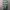 KAOS JERSEY CELTIC FOOTBALL CLUB photo 2