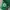 JERSEY CELTICS RONDO photo 8