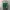 JERSEY CELTICS RONDO photo 7