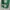JERSEY CELTICS RONDO photo 6