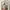 Caroline halter Mini Silk Sundress by EMVE in pink  photo 1