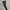 NIKE JOGER PANTS DARK NAVY