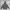 Hoodie Ben Davis Dark Grey  photo 4
