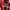 KAOS JERSEY AC MILAN photo 4