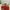 Nike ZoomX Vaporfly Next% 3EK photo 1