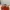 Nike ZoomX Vaporfly Next% 3EK