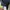 Baselayer Blackyak Running Mp3 photo 3