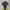 Baselayer Blackyak Running Mp3