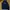 Hoodie champion original photo 1