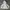 2000's Heavyweight Gray Zip Up Hoodie Boxy photo 5