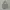 grey canvas bag photo 1