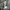 Y2k Vintage Acubi Fit Pinterest Grungecore Fairycore Vintage
