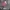Y2k Vintage Acubi Fit Pinterest Grungecore Fairycore Vintage