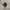 Nike Air Max Tn Plus 3 Carbon Fiber photo 1