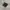 Nike Air Max Tn Plus 3 Carbon Fiber photo 2
