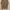 Kemeja nude photo 2