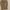 Kemeja nude photo 1