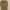 Kemeja Nude