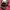 Topi Von Dutch photo 1