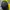 Prospecs Hat (Hiking/Sportwear) photo 4