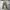Back number cargo pants photo 2