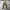 Back Number Cargo Pants