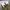 Back number cargo pants photo 6