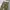 Back number cargo pants photo 4