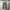 Back number cargo pants photo 1
