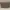 Tory Burch Emerson Adjustable Shoulder Bag French Grey (100% photo 1