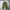 Uniqlo baggy cargo pants photo 1