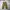 Uniqlo baggy cargo pants photo 2