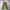 Uniqlo Baggy Cargo Pants