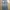 jeans size 29 photo 2