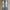 Jeans Size 29