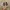 Vans Sk8 low Brown photo 4